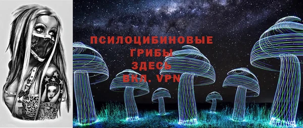 ALPHA PVP Новодвинск