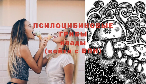 бошки Новозыбков