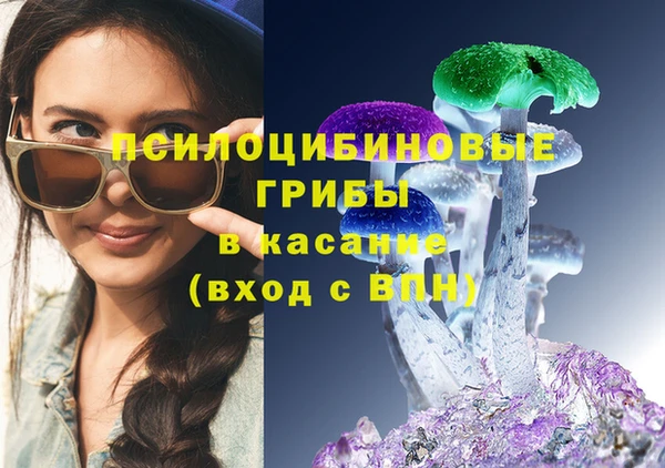 альфа пвп Новокубанск