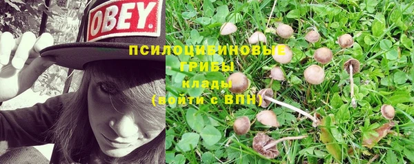 альфа пвп Новокубанск
