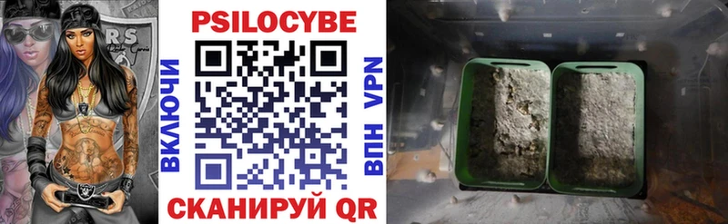Галлюциногенные грибы Psilocybine cubensis  Купить закладки  Коркино 